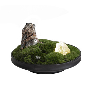 {青峰}日式苔藓盆景盘子茶室案头摆件售楼处样板房工作室创意盆栽