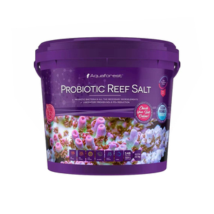 波兰AF紫色森林珊瑚盐益生菌盐海水盐海缸盐鱼缸专用盐SPS水族用