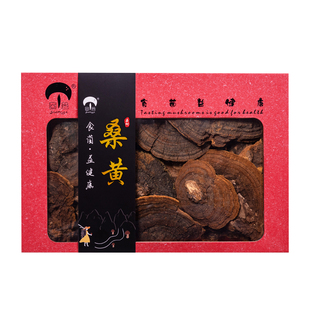 菌益 桑树桑黄礼盒装500g 西藏 桑黄茶金边灵芝西藏桑黄整朵