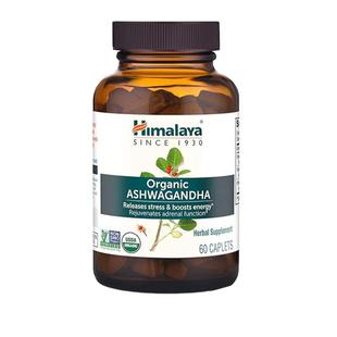 Himalaya喜马拉雅有机南非醉茄OrganicASHWAGANDHA缓解压力提精力