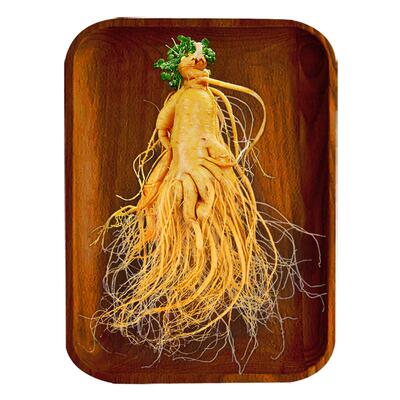 人参长白山煲汤泡酒滋补养生直发