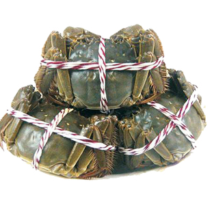 黄河口大闸蟹山东河蟹东营螃蟹公3.5两母2.5两10只礼盒东营大闸蟹