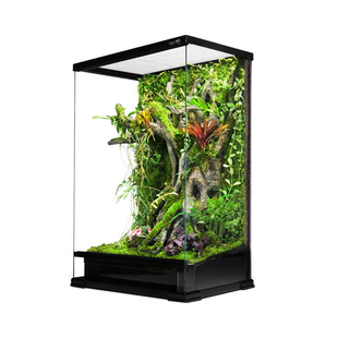 GreenDeep格林德 微景观造景热带植物生态雨林缸饲养箱 爬箱定制