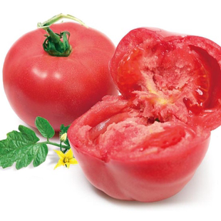 虹越园艺家番茄种子大果圣女果易沙瓤西红柿蔬菜阳台园艺盆栽丰产