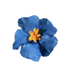 甜美彩色扶桑花发夹女多巴胺氛围感侧边夹独特海边沙滩度假风发饰