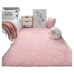 北欧 ins风可爱地毯客厅卧室茶几地垫少女房间床边家用毛绒加厚毯