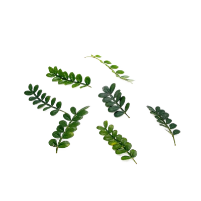 新鲜摆盘装饰1盒槿馐约40片