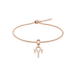 DW手链女款  CHARM密语系列 12星座轻奢小众配饰女生礼物