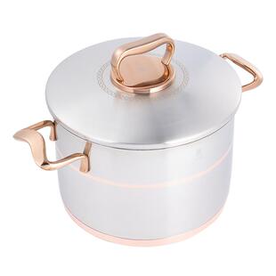 莱德斯家用316L不锈钢汤锅大容量24cm电磁炉汤锅