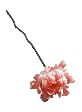 非遗手工牡丹瓷花客厅装饰摆件