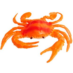 仿真软胶海洋生物儿童认知动物玩具章鱼鲨鱼热带鱼模型教具大礼包