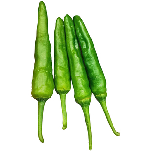 正宗寿禾樟树港辣椒种子种籽辣椒苗秧苗四季盆栽树苗蔬菜苗孑高产