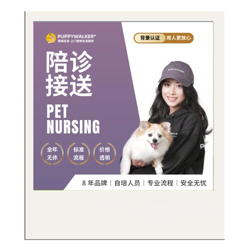 宠物寄养