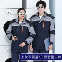 Пятые династии Живые модели и скрытый синий