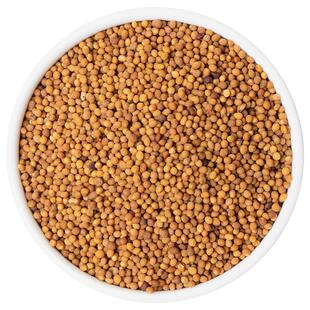 菟丝子中药材正品旗舰店野生兔丝子男士泡水喝沙苑子五味子枸杞茶