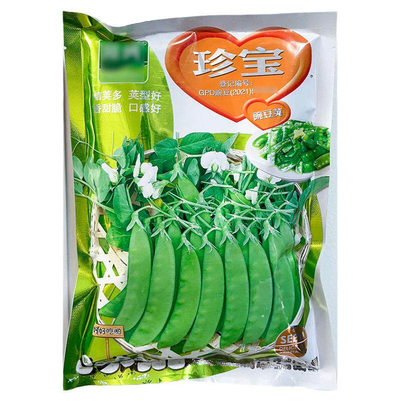 珍宝豌豆荚荷兰豆蔬菜种子高产冬