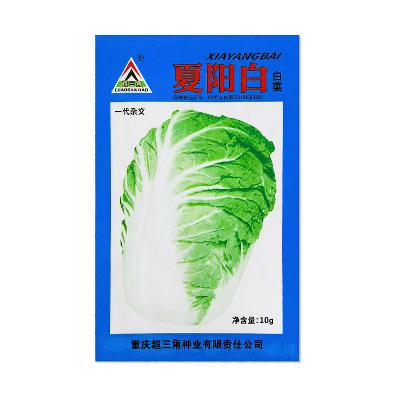 超三角夏阳白白菜种子