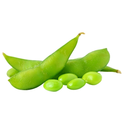 正宗毛豆种子专吃嫩毛豆大粒高产