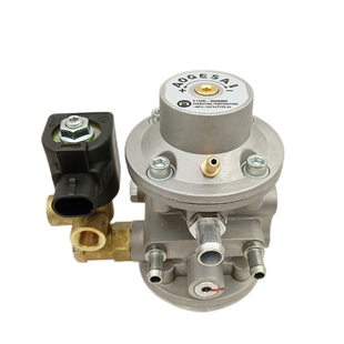 cng减压器 多点直喷减压阀 燃气油改气配件 BRC阀天然气汽车