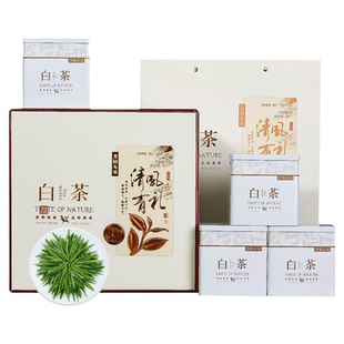 禾安堂2026新茶安吉白茶旗舰店绿茶高端礼盒装送长辈领导端午茶叶