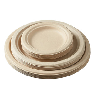 一次性盘子餐盘碗筷纸盘纸碟加厚食品级碟子圆盘果盘家用烧烤餐具