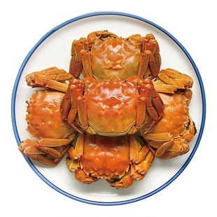 江苏河蟹兴化螃蟹河蟹大闸蟹鲜活全母红膏蟹生鲜特大满黄公母膏蟹