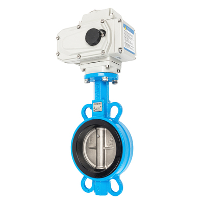 厂家直销南京有有电动对夹式蝶阀