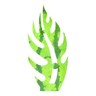 西瓜皮雕刻模具网红不锈钢瓜皮雕刻模板水果拼盘装饰酒店DIY模具