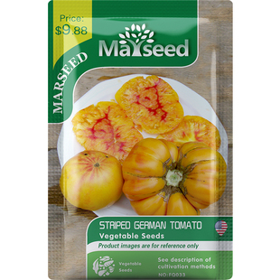 【MARSEED火星家】传家宝德国条纹大西红柿番茄种子苗高产