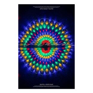 LED8功能闪孔雀灯室外庭院节日亮化凤尾灯围栏护栏装饰彩灯窗帘灯