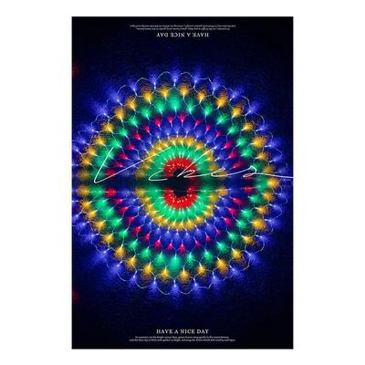 中国风孔雀灯3.5*0.5LED彩灯