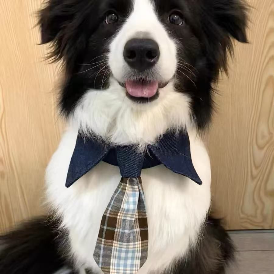 宠物三角巾围巾领带文艺复古拼接方巾围脖猫咪狗狗百搭ins口水巾