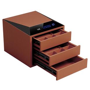 2025新款虎牌珠宝首饰保险箱家用小型全钢防盗新型保险柜卧室衣柜隐藏式密码锁指纹智能办公室收纳盒