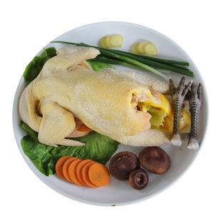 正宗土鸡农家散养1.5-2年老母鸡苏北草鸡自养活鸡现杀月子鸡 鸡汤