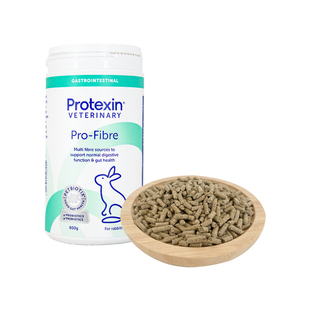 英国日日纤维益生菌颗粒兔子龙猫荷兰猪肠道消化调节治疗软便800g