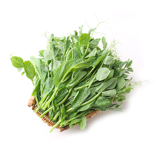 顺丰包邮！现摘四川新鲜嫩豌豆尖豌豆苗新鲜当季嫩豌豆苗龙须菜