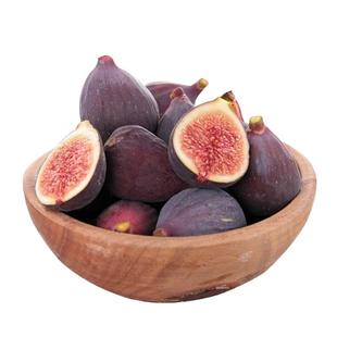 无花果种子 四季庭院播种 蜜果 奶浆果 文仙果树苗果树种子籽春播