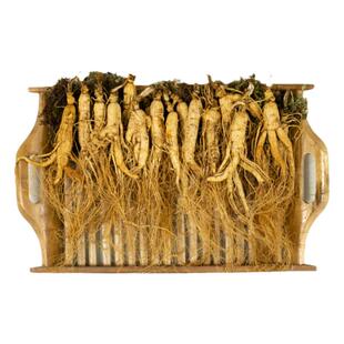 长白山山参趴货正宗东北人参林下参整枝山参泡酒煲汤泡水