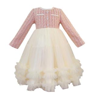 公主裙女童秋冬款2025新款冬装儿童冬季生日裙子女孩小香风连衣裙