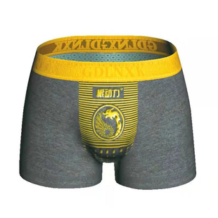 男士内裤保健理疗勃根动力锁阳蜂巢能量内裤性感平角裤头透气柔软