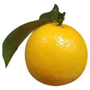 正宗廉江红橙新鲜当季水果现摘手剥薄皮红江农场特产甜红江橙10斤