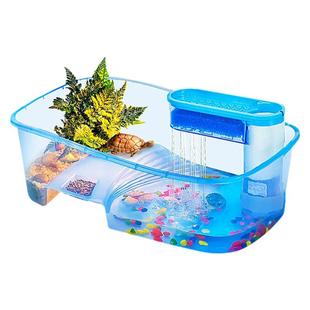 小乌龟活物中华草龟珍珠巴西龟儿童宠物网红观赏好养耐活黄耳龟苗