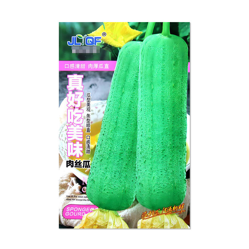 吉利青丰真好吃美味肉丝瓜种子