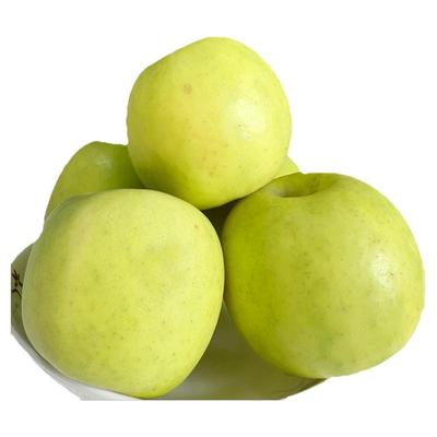 瑞雪苹果15枚礼盒装