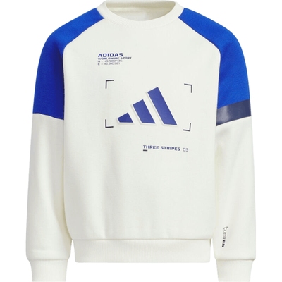 adidas阿迪达斯儿童LK WARM CREW运动休闲套头衫卫衣KB5128