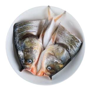 好余轩剁椒鱼头640克*3袋春节特惠加赠品湖北特产冰鲜套装厂家发