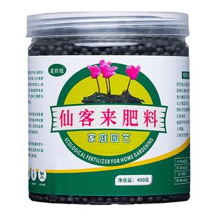 仙客来专用肥料兔耳花肥四季仙客来种球花球根植物迎客仙鹤来开花