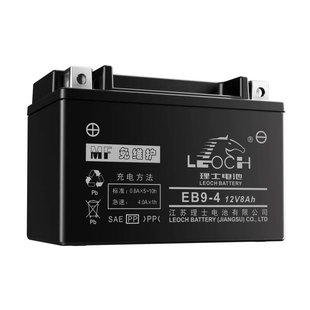 理士原装摩托车电池YT9-4豪爵铃木丽驰GW250SFJ DL250DR250DR300