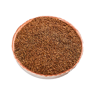 中国药典标准正品菟丝子中药饮片精选菟丝子小白菟丝子中药材抓配