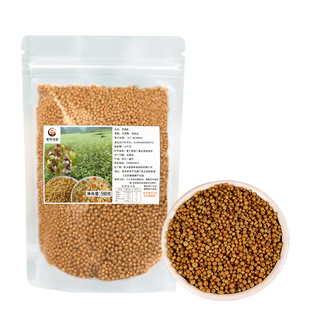 正宗贵州苦荞饭威宁粗粮代餐荞麦低脂主食早餐杂粮米疙瘩汤粥特产